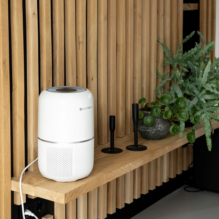 An air purifier in your home? Read the 5 main reasons here