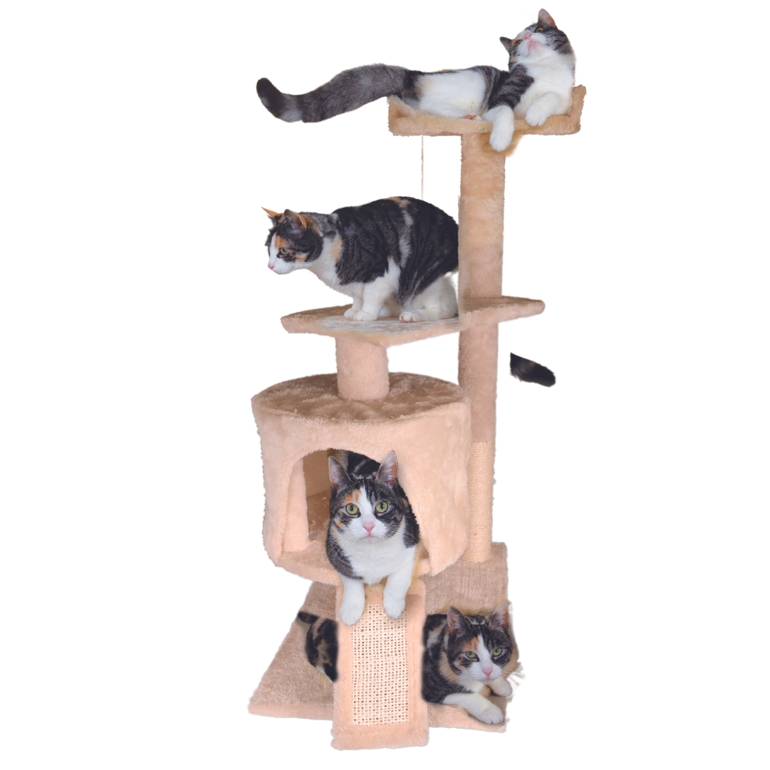 Cat playing in cat tower