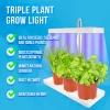 Grow Lamp for Cultivation - 3 Plants - 2