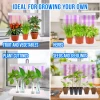 Grow Lamp for Cultivation - 3 Plants - 3