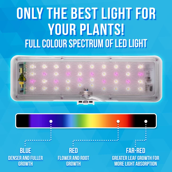 Grow Lamp for Cultivation - 3 Plants