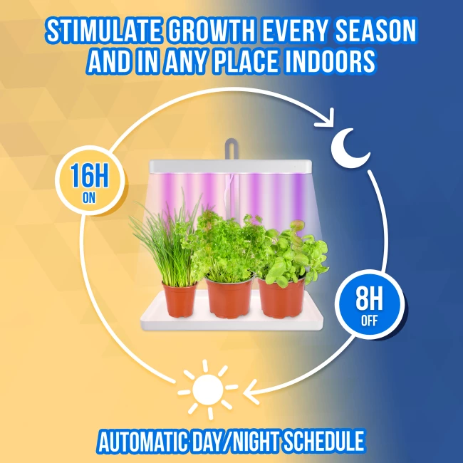 Grow Lamp for Cultivation - 3 Plants