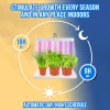 Grow Lamp for Cultivation - 3 Plants - 6