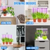 Grow Lamp for Cultivation - 3 Plants - 7