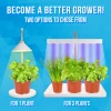 Grow Lamp for Cultivation - 3 Plants - 8