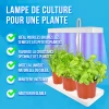 Lumière de croissance pour la culture - pour 3 Plantes - 2