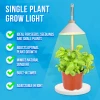 Grow Lamp for Cultivation - 1 Plant - 2