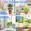 Grow Lamp for Cultivation - 1 Plant - 3