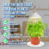 Grow Lamp for Cultivation - 1 Plant - 4