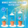 Grow Lamp for Cultivation - 1 Plant - 5