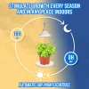 Grow Lamp for Cultivation - 1 Plant - 6