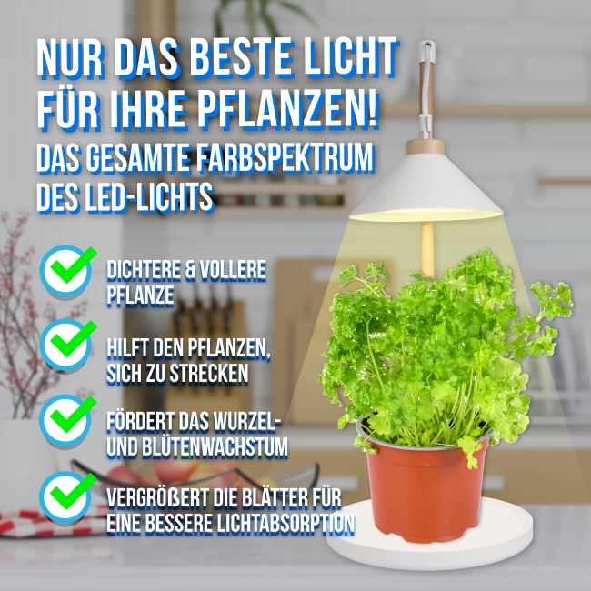 Pflanzenlampe - für 1 Pflanze