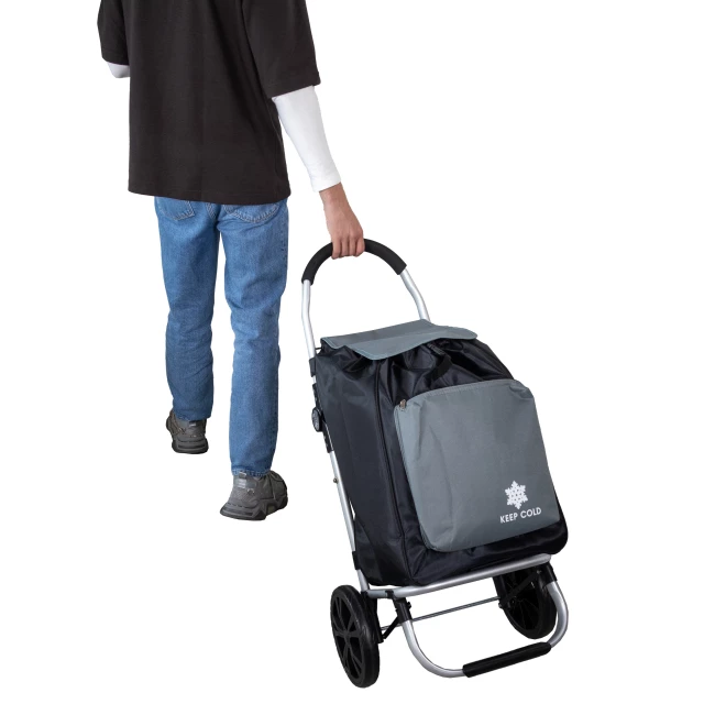Cooler Bag on Wheels with Freezer Compartment