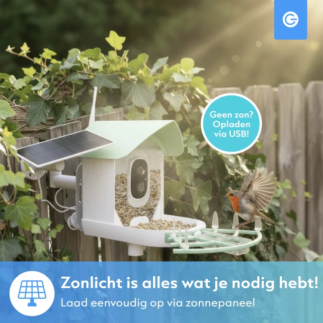 Slim Vogelvoederhuisje met Camera