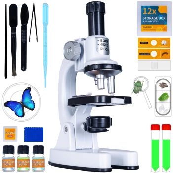 Microscope pour Enfants