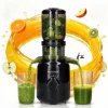 Slow Juicer - 1