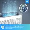 Smart Air Purifier XL with App - 15