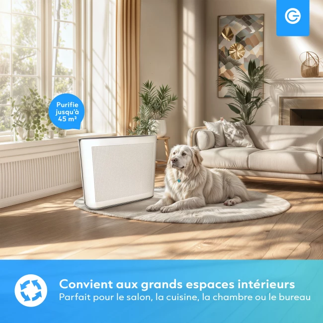 Purificateur d'Air Intelligent XL avec App