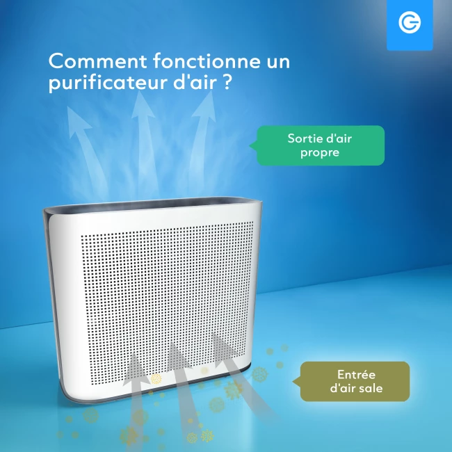 Purificateur d'Air Intelligent XL avec App